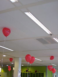 valentijnballonL.jpg
